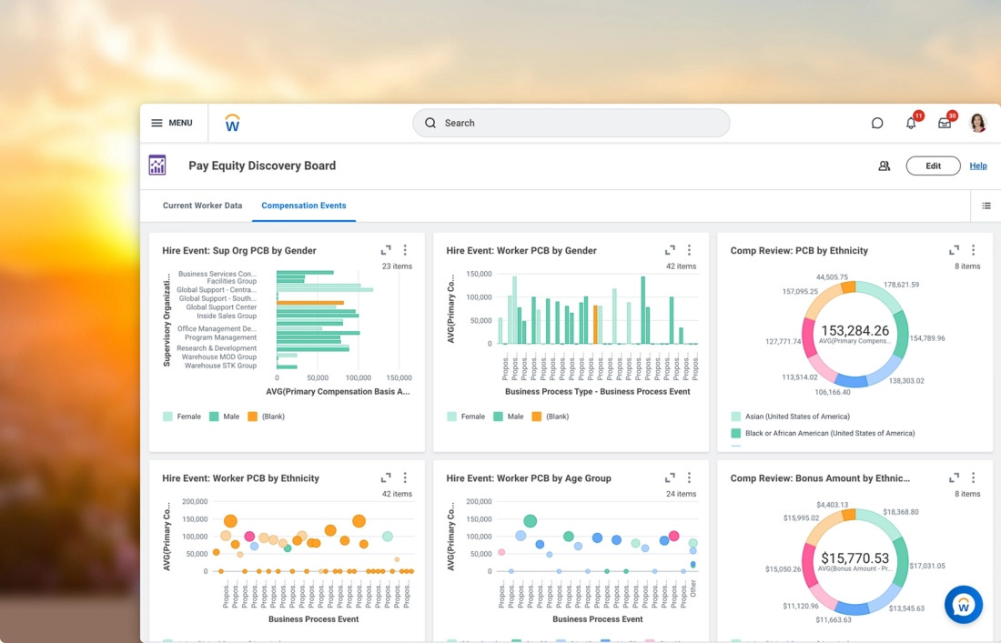 Workday pay equity dashboard – enterprise HR and finance platform compared to BambooHR